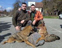 cicelj-lovci