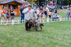 DSC_8856_1600_x_1200