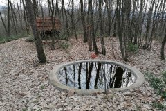 donja-trnova-02