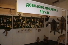 P1010452
