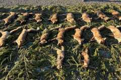 IMG-486d2fb6926e5259cb0cd3dfded31e84-V