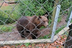 IMG_20211011_111058