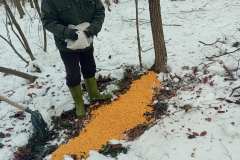 1_IMG-b6217be4772412f847ece0c3e86b9c11-V