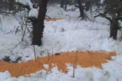 IMG-71664a7c6a3d334e0e11fecbf4d47d37-V-1