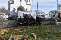 IMG-e9b162141f5c3bfdca8c425ab06974fb-V