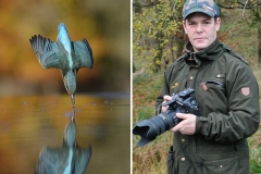 perfect-kingfisher-dive-photo-wildlife-photography-alan-mcfayden-34